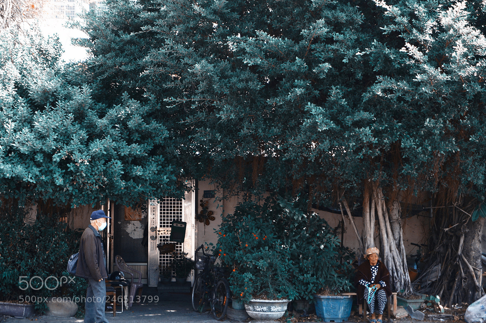 Sony Alpha NEX-5R sample photo. Untitled photography
