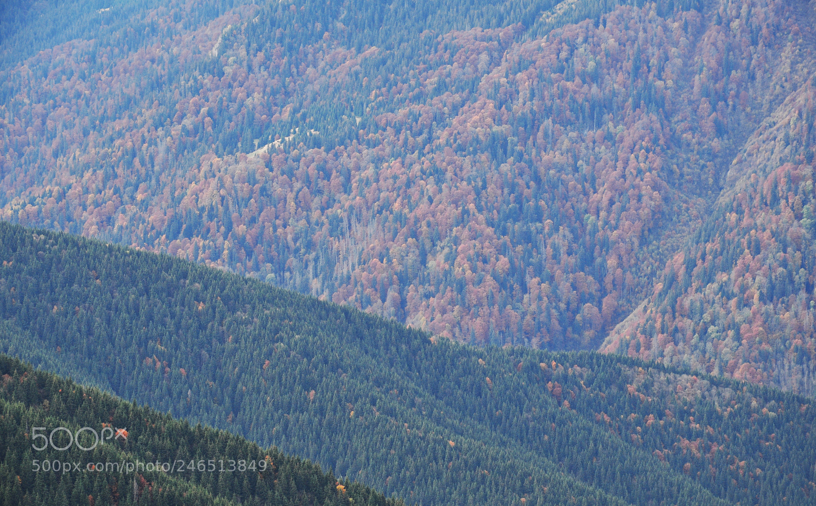 Nikon D5000 sample photo. The shadows of carpathian photography