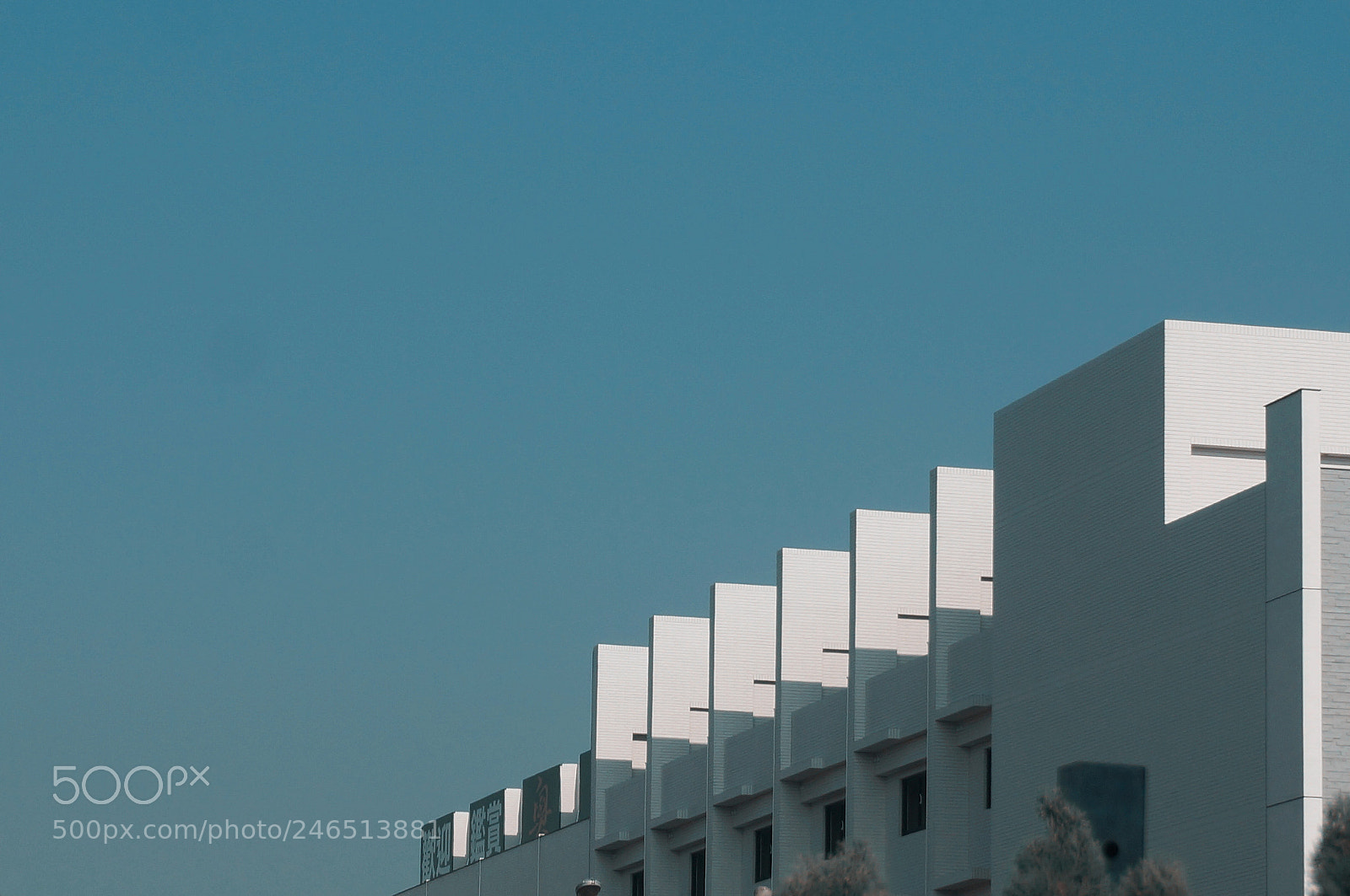 Sony Alpha NEX-5R sample photo. Untitled photography