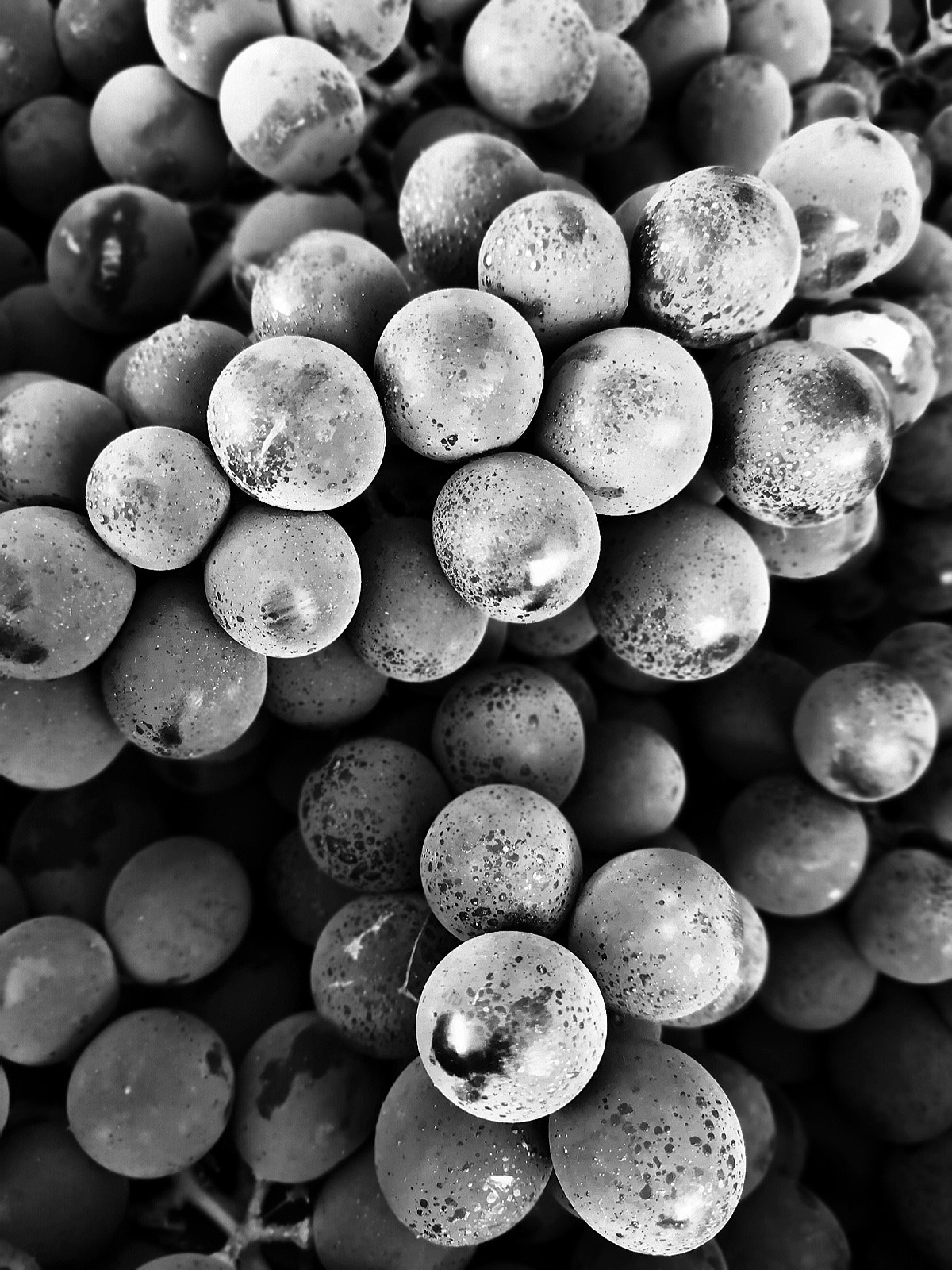 HUAWEI Honor View 10 sample photo. Grapes in black and white photography