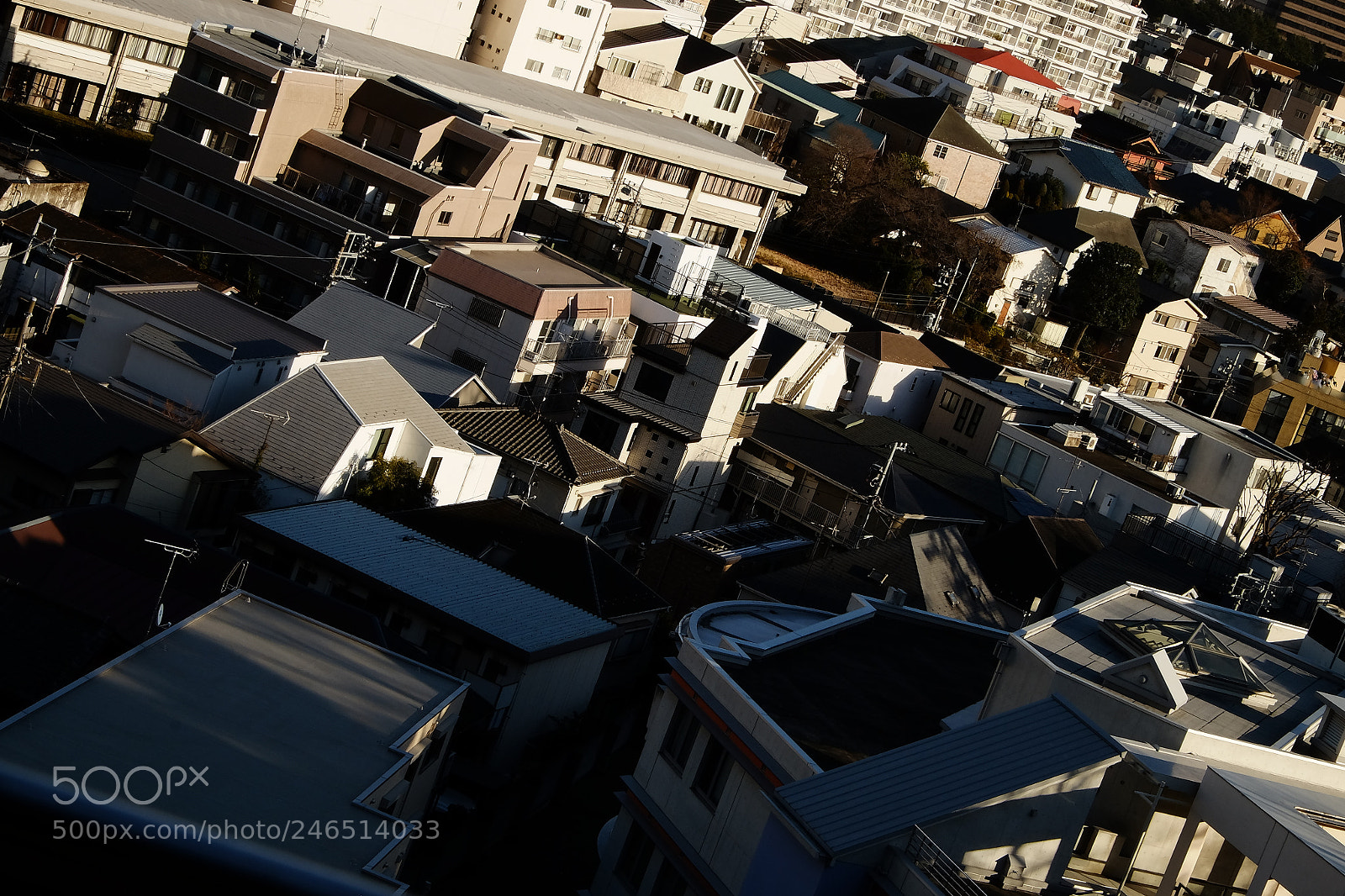 Fujifilm X-E2 sample photo. 00077937.jpg photography