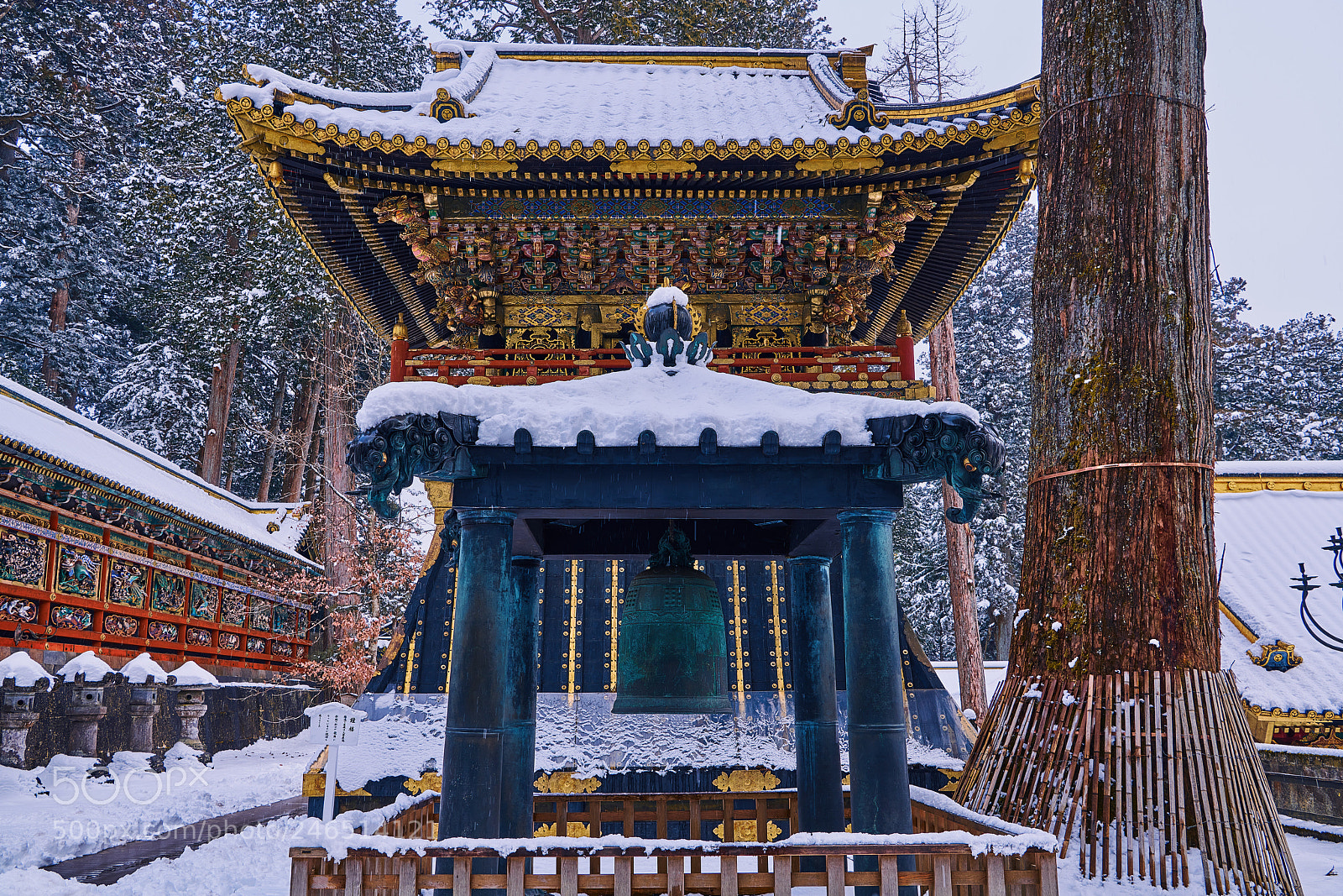 Nikon D850 sample photo. Bell tower and fishing photography