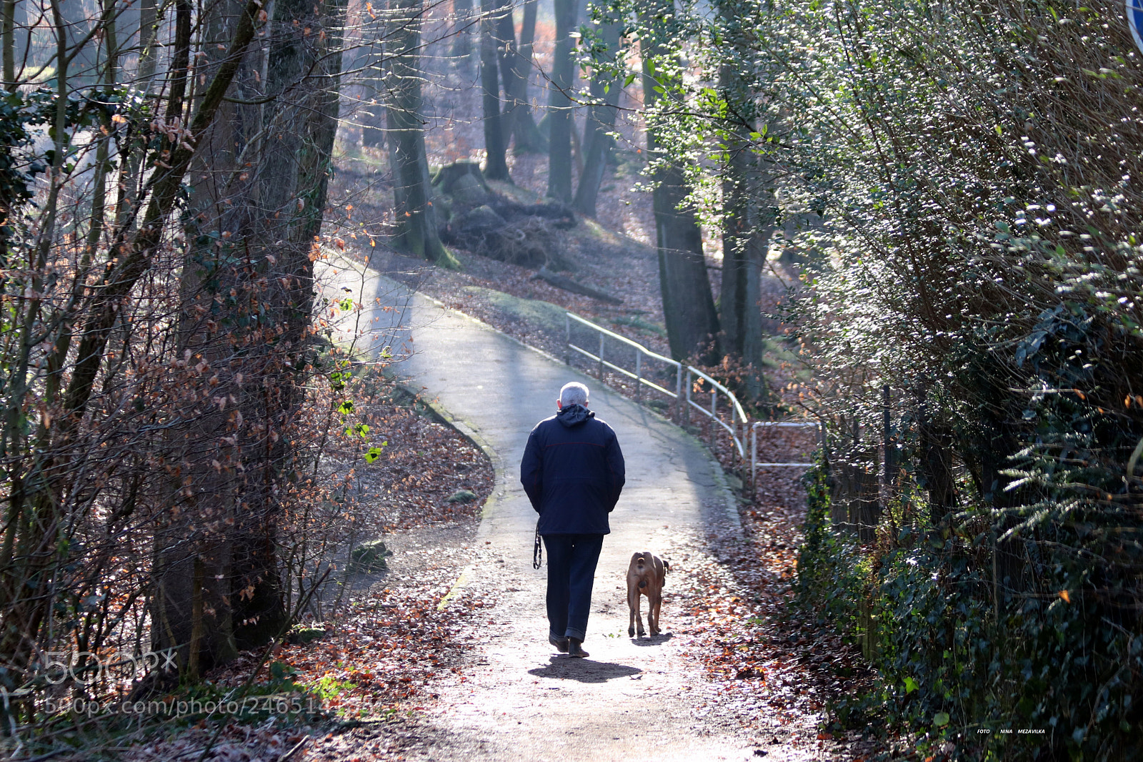 Canon EOS 800D (EOS Rebel T7i / EOS Kiss X9i) sample photo. In einem wald ... photography