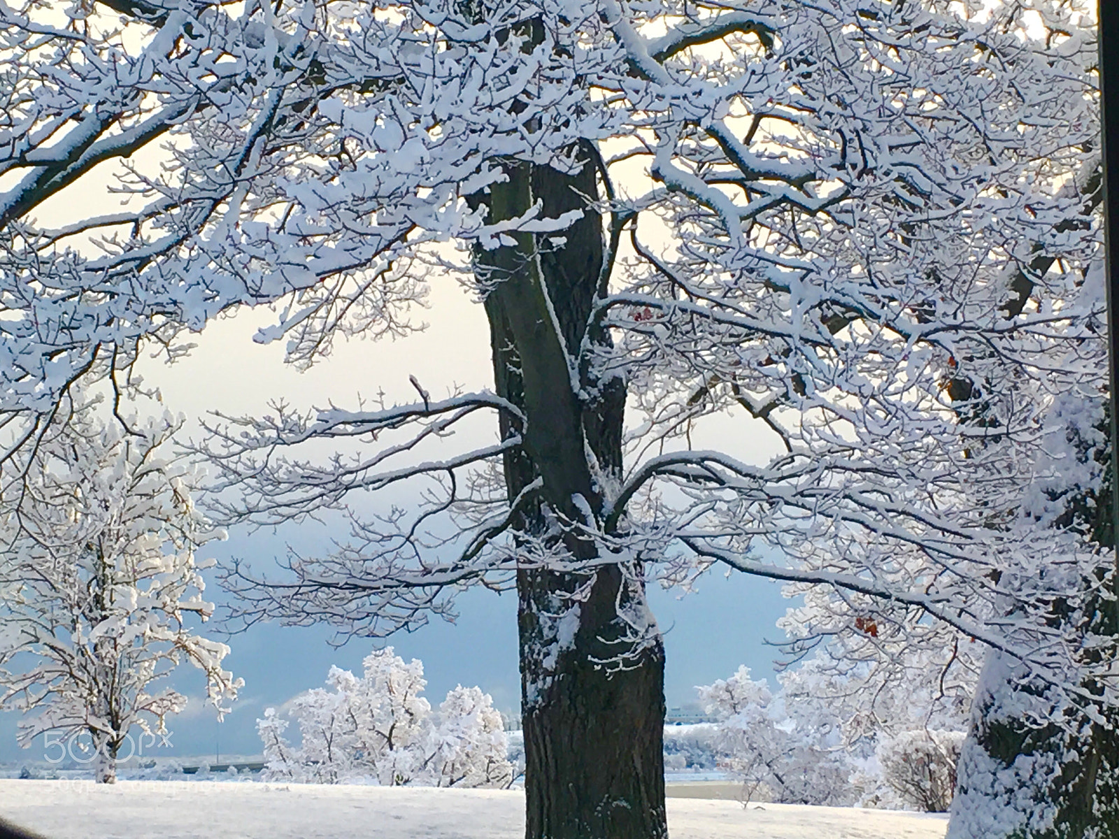 Apple iPhone 6s Plus sample photo. Blue winter... photography
