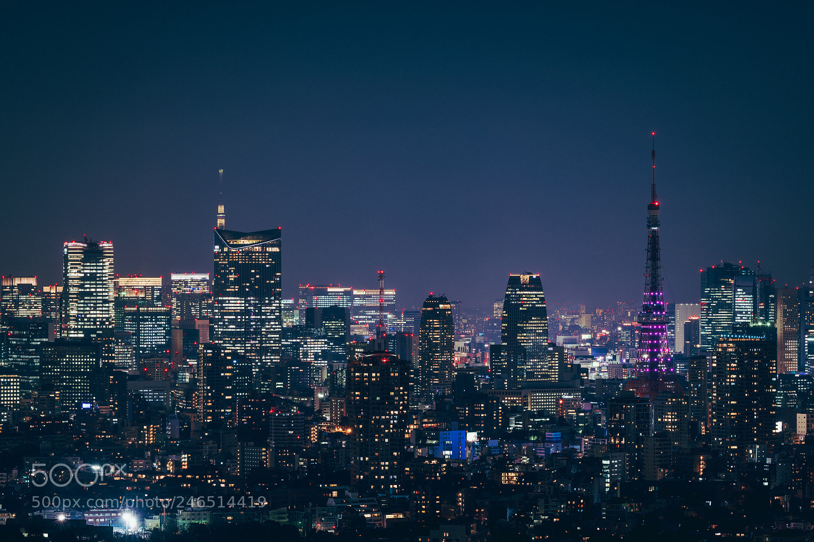 Nikon D850 sample photo. Tokyo_night photography