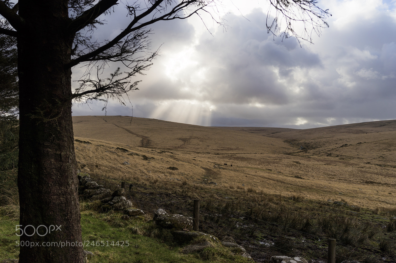 Sony a7 II sample photo. Sunbeams over dartmoor photography