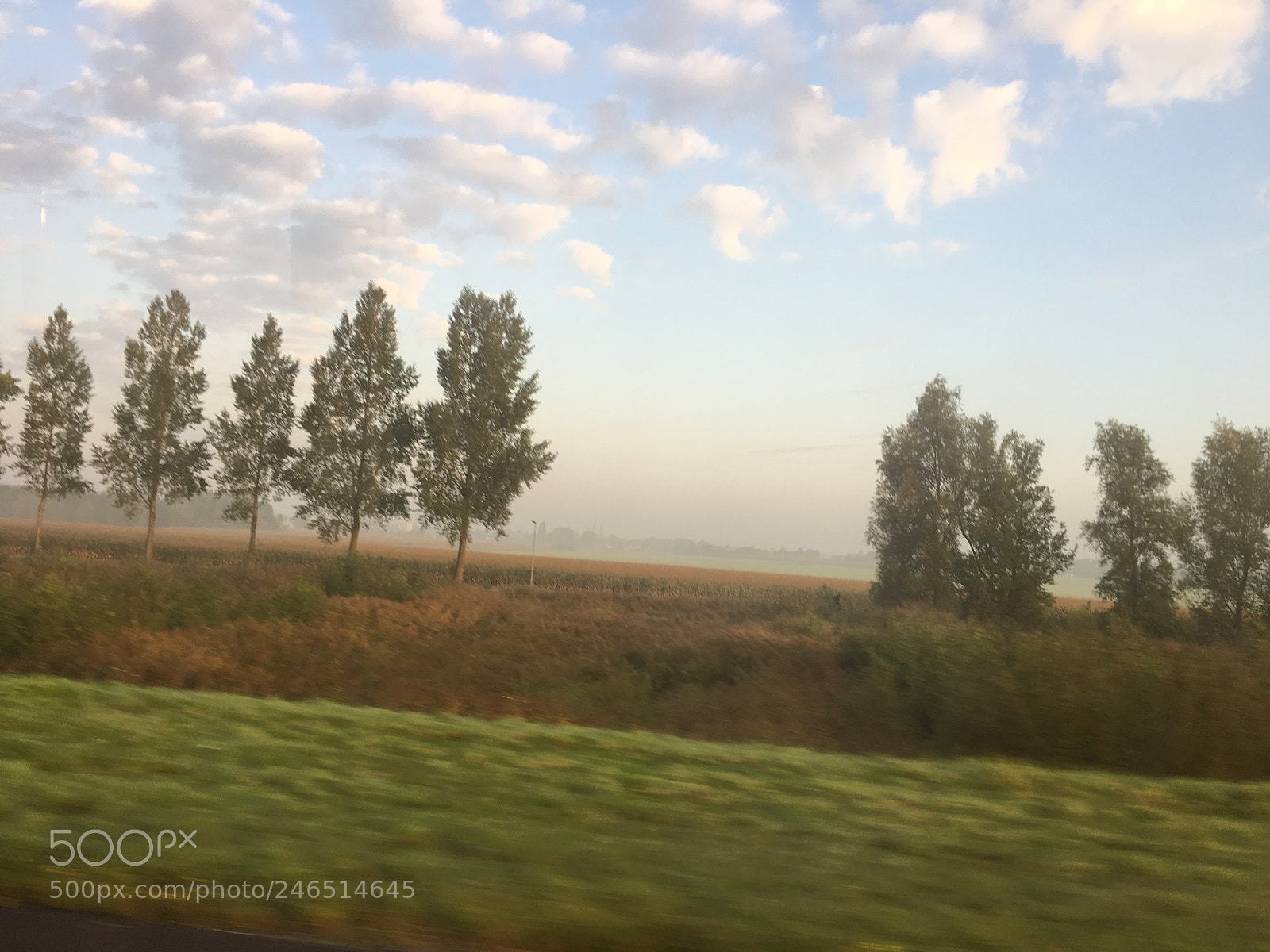 Apple iPhone 6s sample photo. Untitled photography