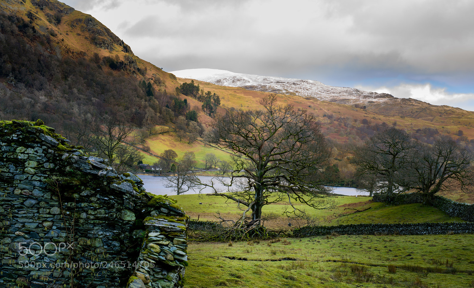 Nikon D810 sample photo. Grasmere photography