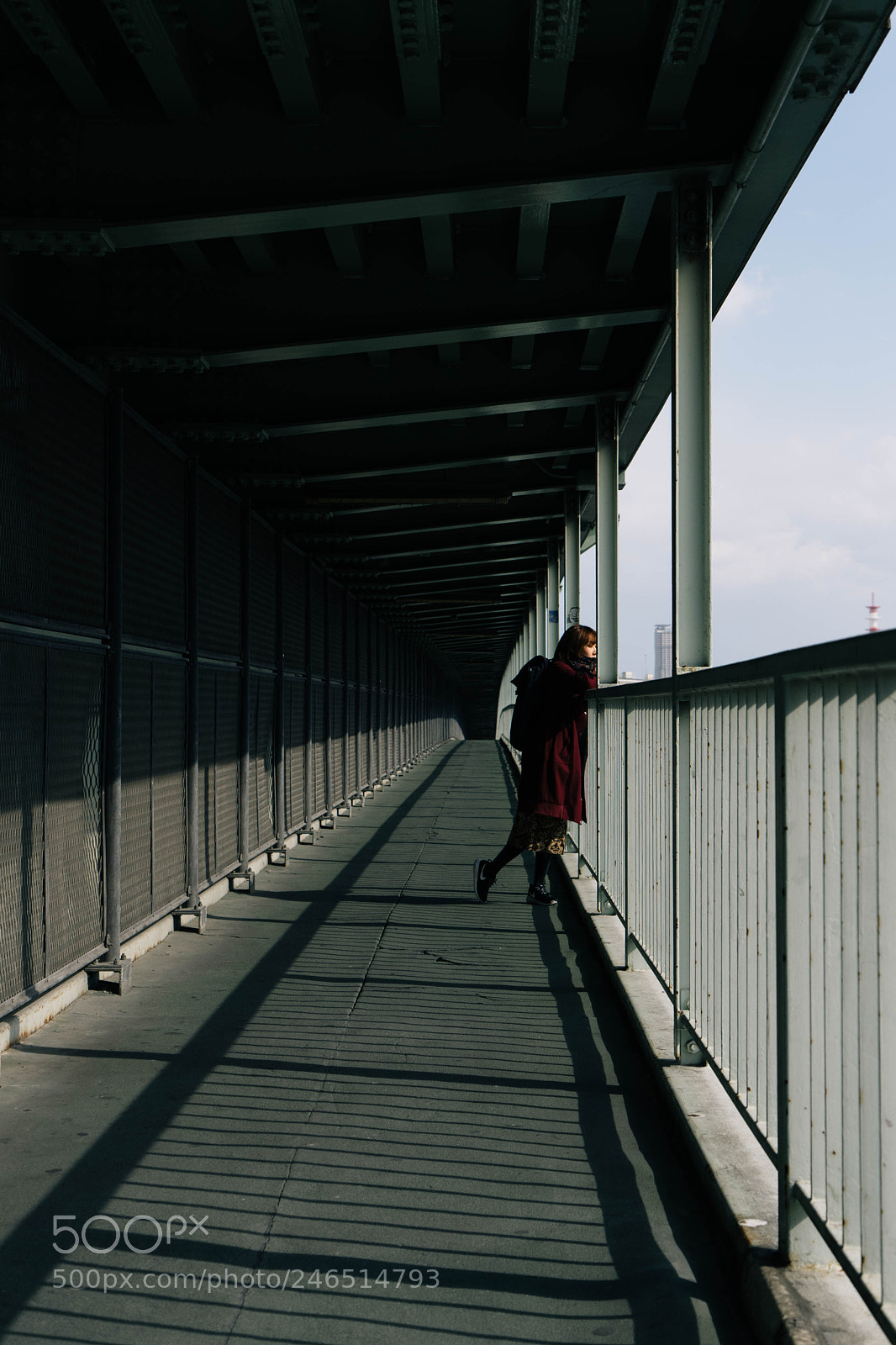 Sony a7 II sample photo. Osaka19 photography