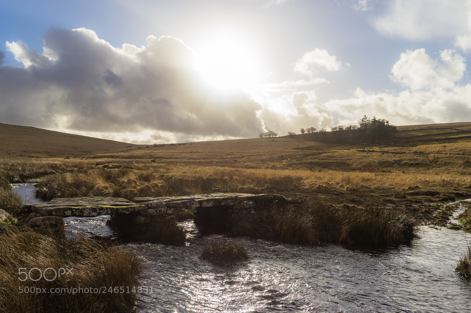 Sony a7 II sample photo. Fernworthy bridge photography