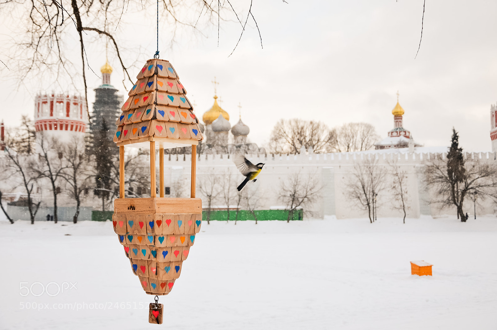 Nikon D5100 sample photo. Untitled photography