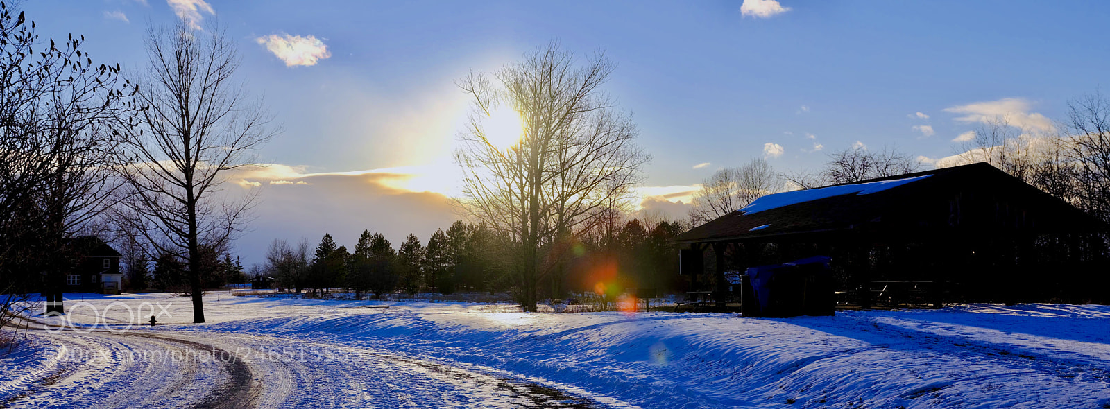 Fujifilm GFX 50S sample photo. Winter of bronte creek photography