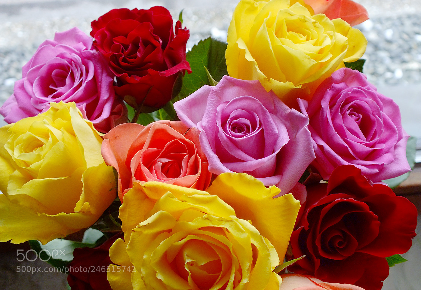 Fujifilm FinePix HS30EXR sample photo. ....beauty in roses !!! photography