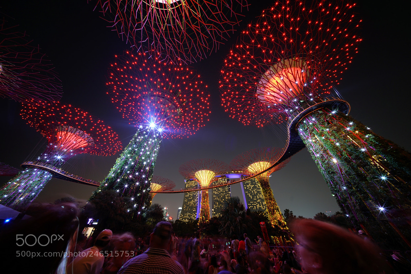 Sony a7R II sample photo. Supertree grove photography
