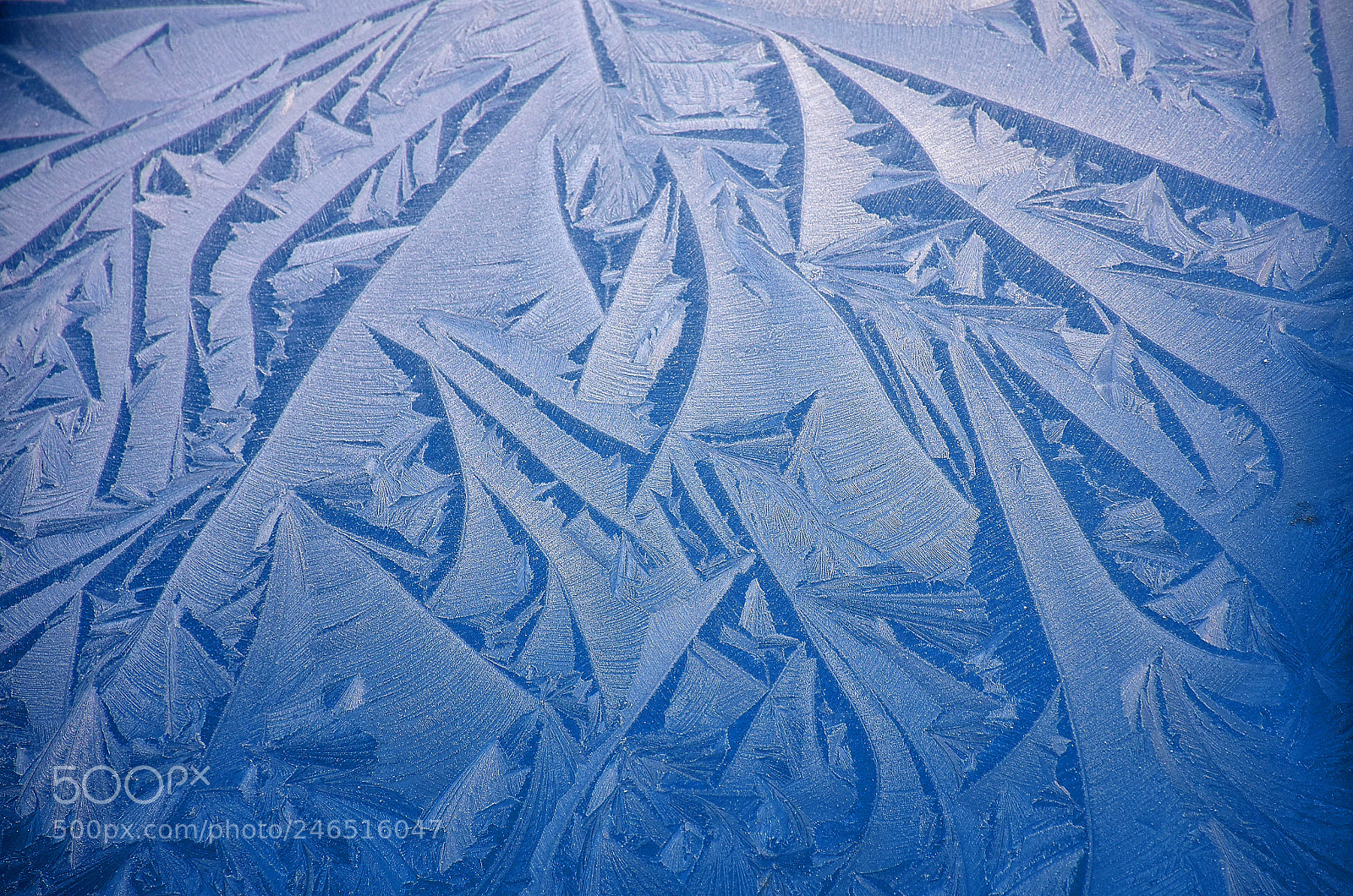 Nikon D7200 sample photo. Blue world of ice photography