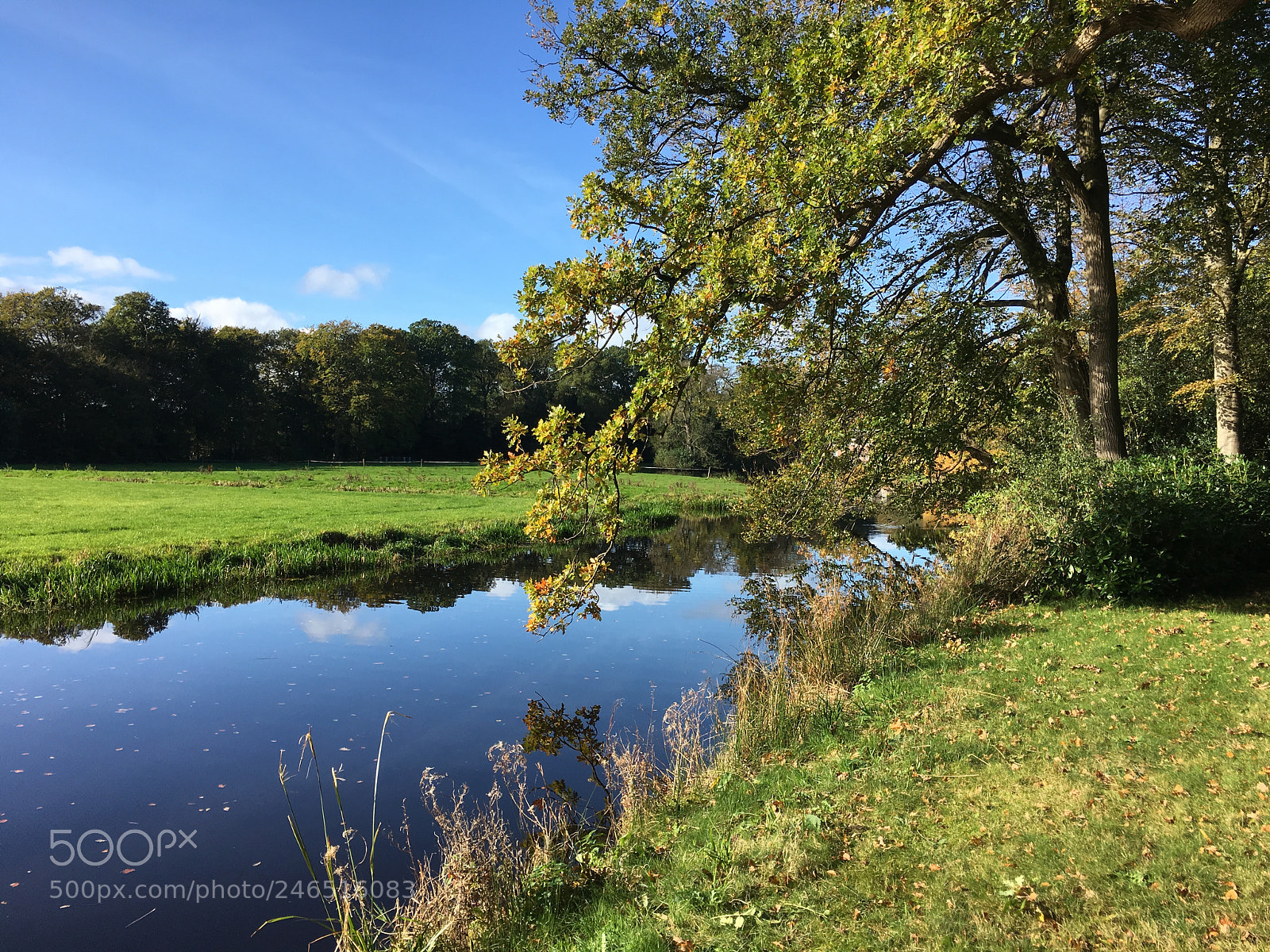 Apple iPhone 6s sample photo. Voorschoten, duivenvoorde photography