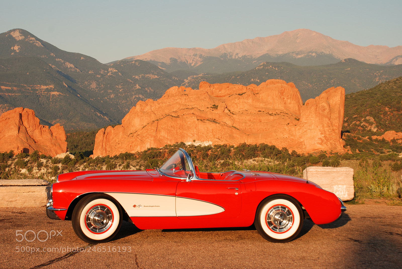 Nikon D80 sample photo. The pefect 57 vette photography