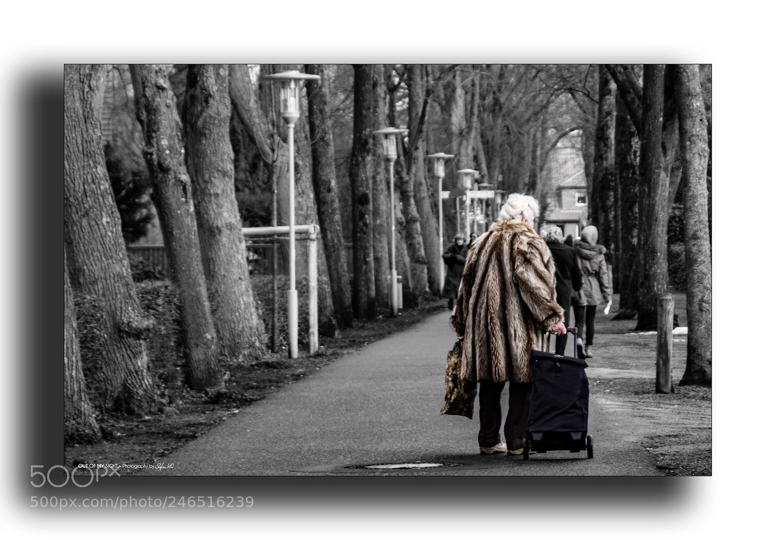 Canon EOS 600D (Rebel EOS T3i / EOS Kiss X5) sample photo. Old lonely woman photography
