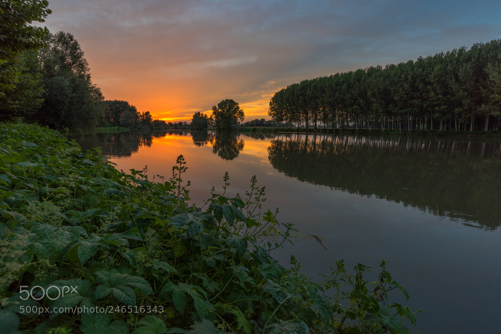 Nikon D810 sample photo. Tramonto sul fiume oglio photography
