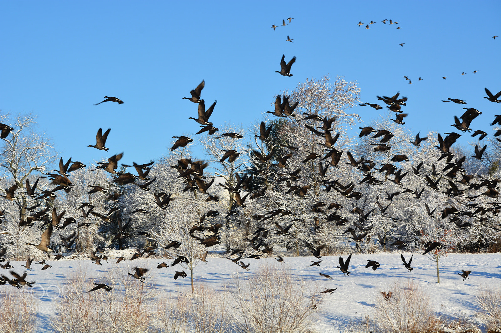 Nikon D7100 sample photo. Untitled photography
