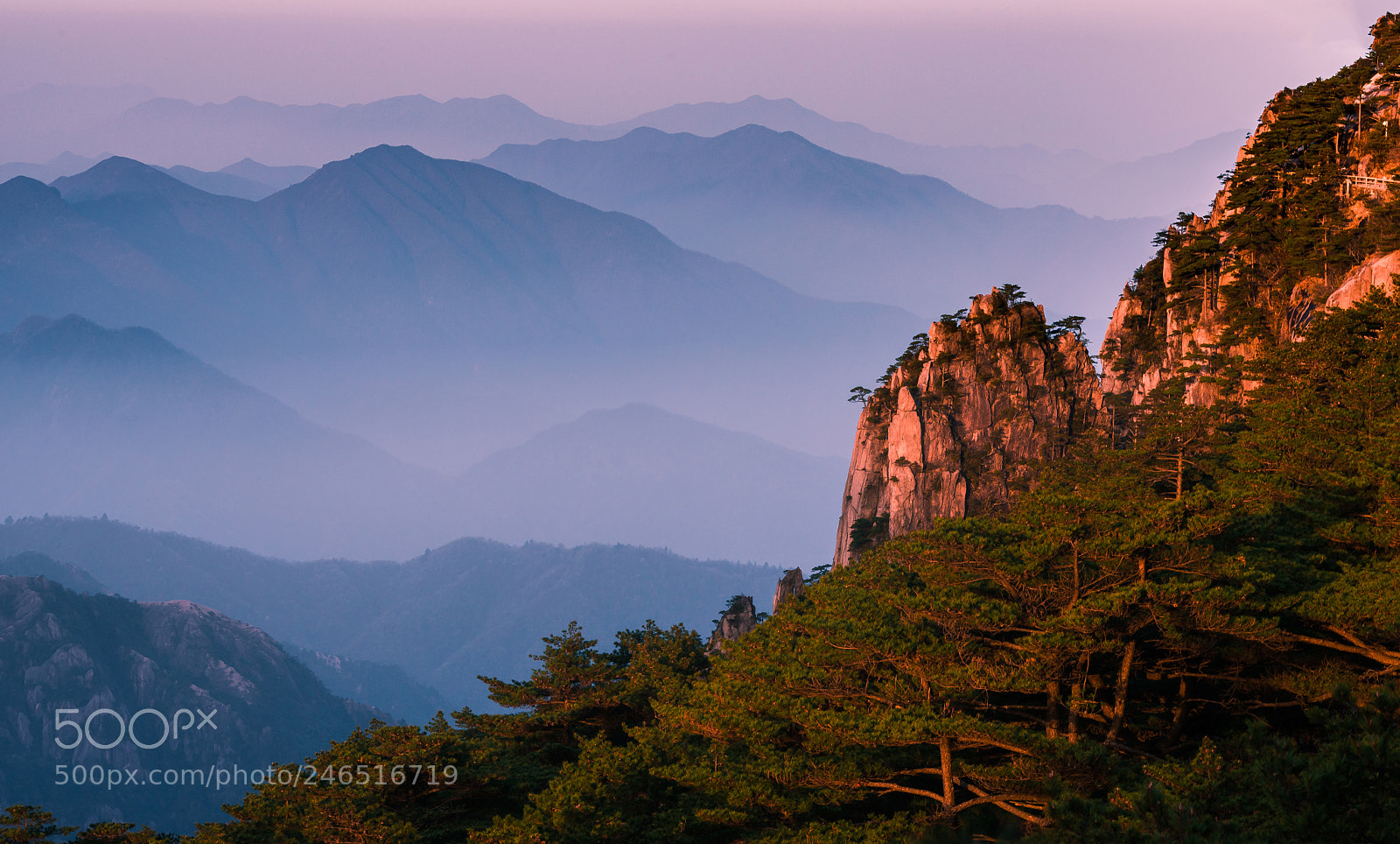Nikon D800 sample photo. Dawn at yellow mountains photography