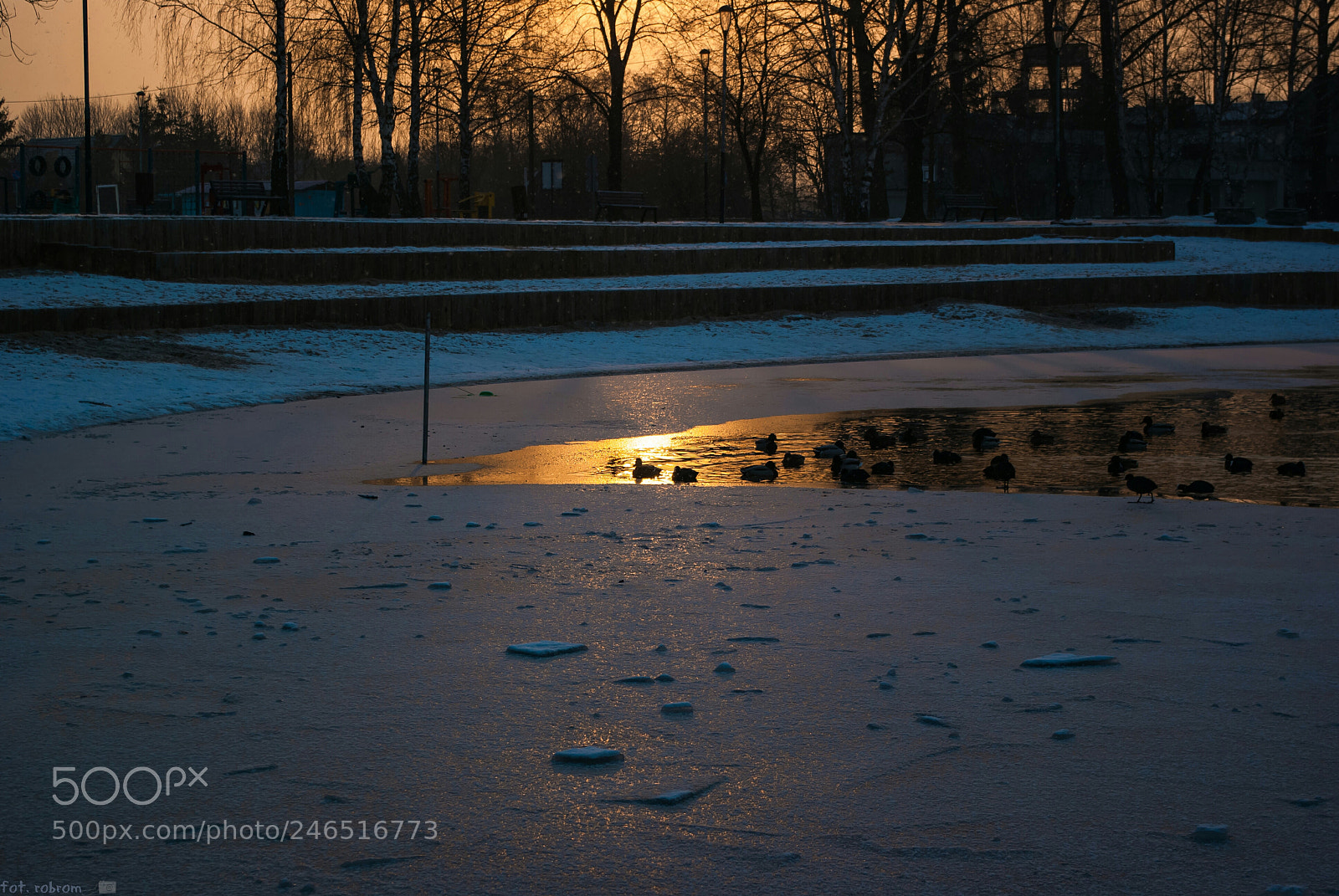 Pentax K10D sample photo. Golden sunrise photography