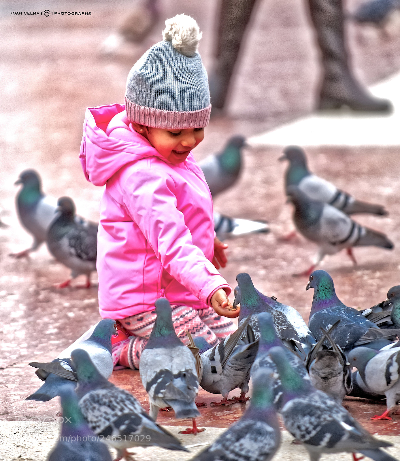 Nikon D810 sample photo. Children and pigeons 2 photography