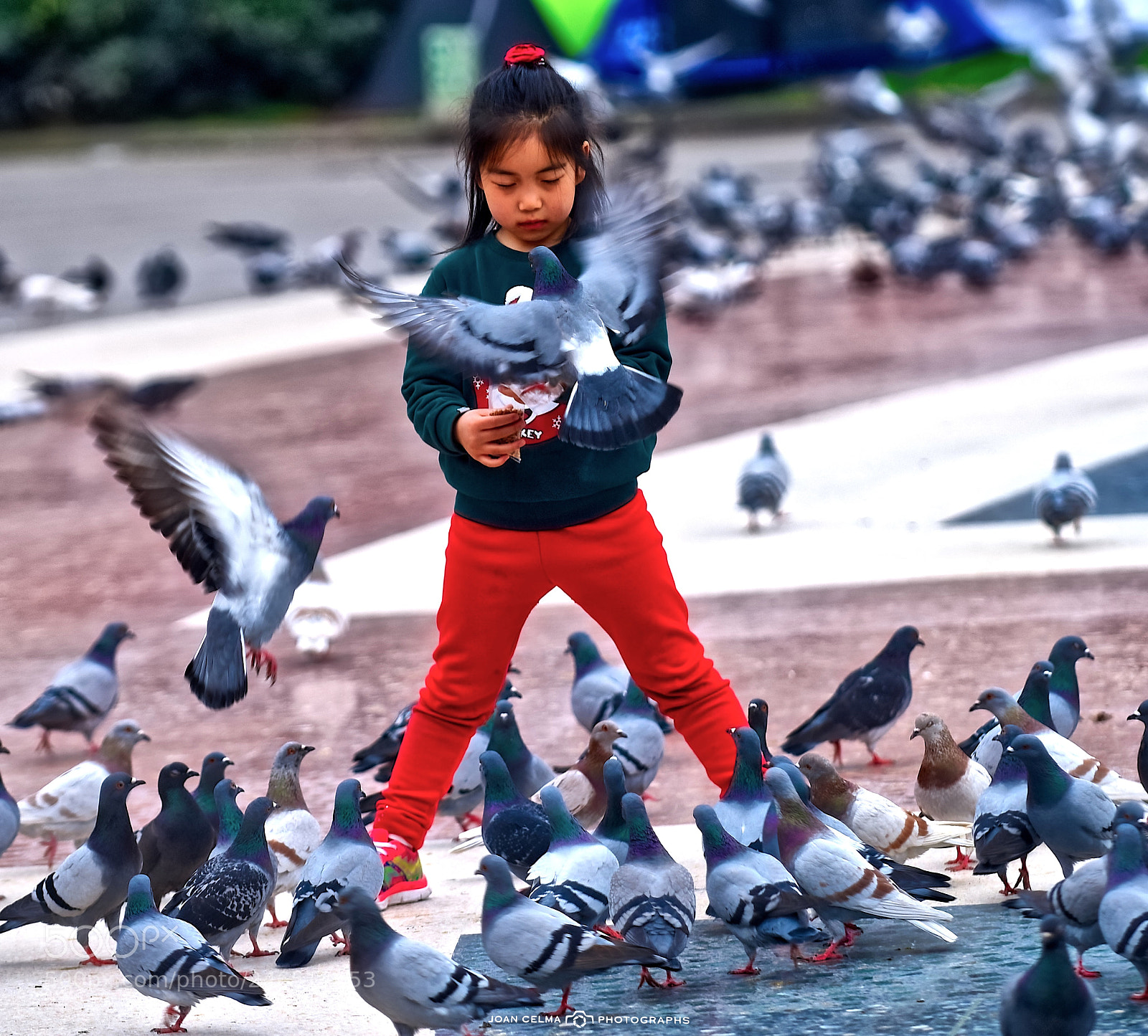 Nikon D810 sample photo. Children and pigeons 3 photography