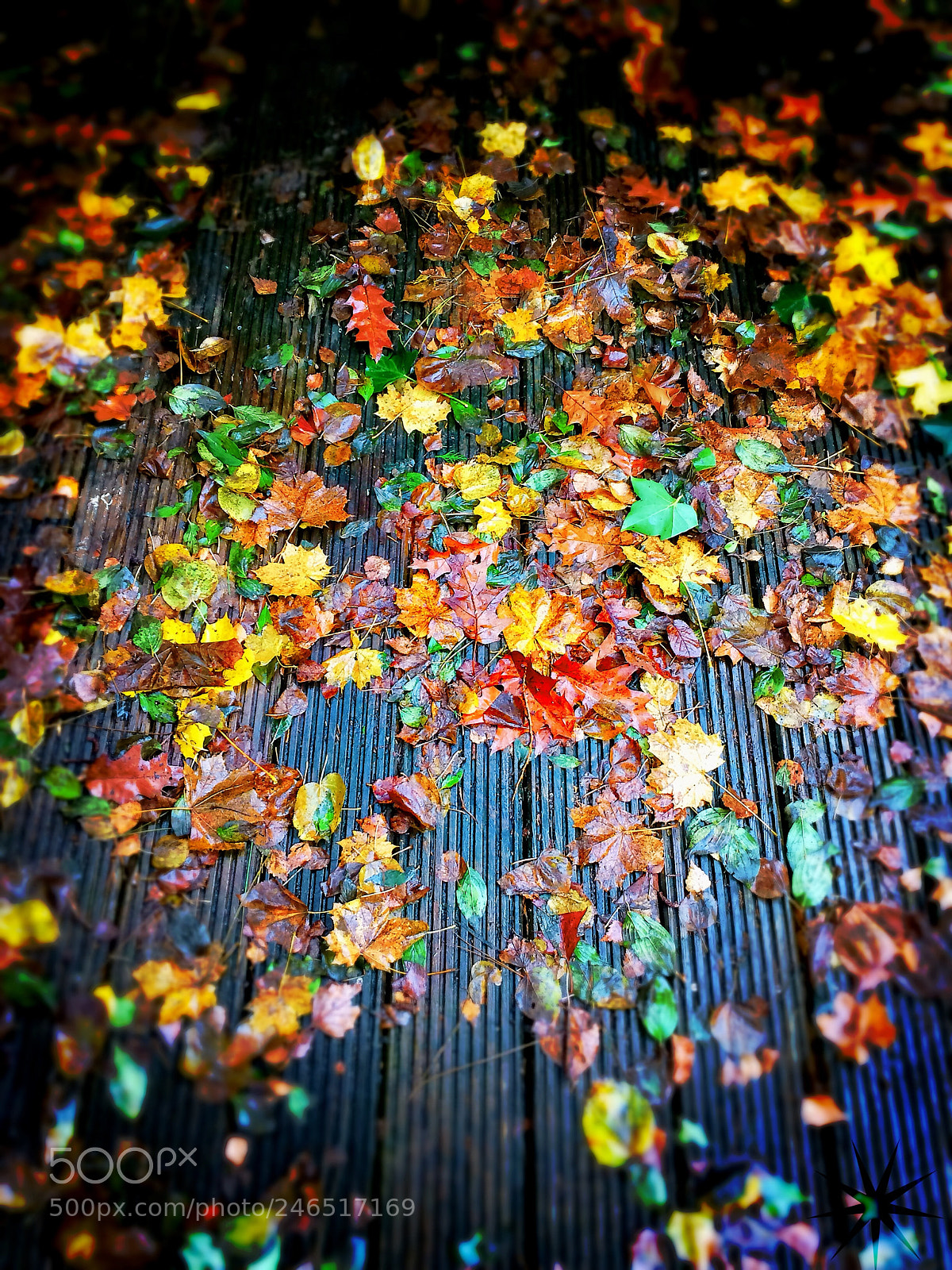 Apple iPhone 5s sample photo. ? photography