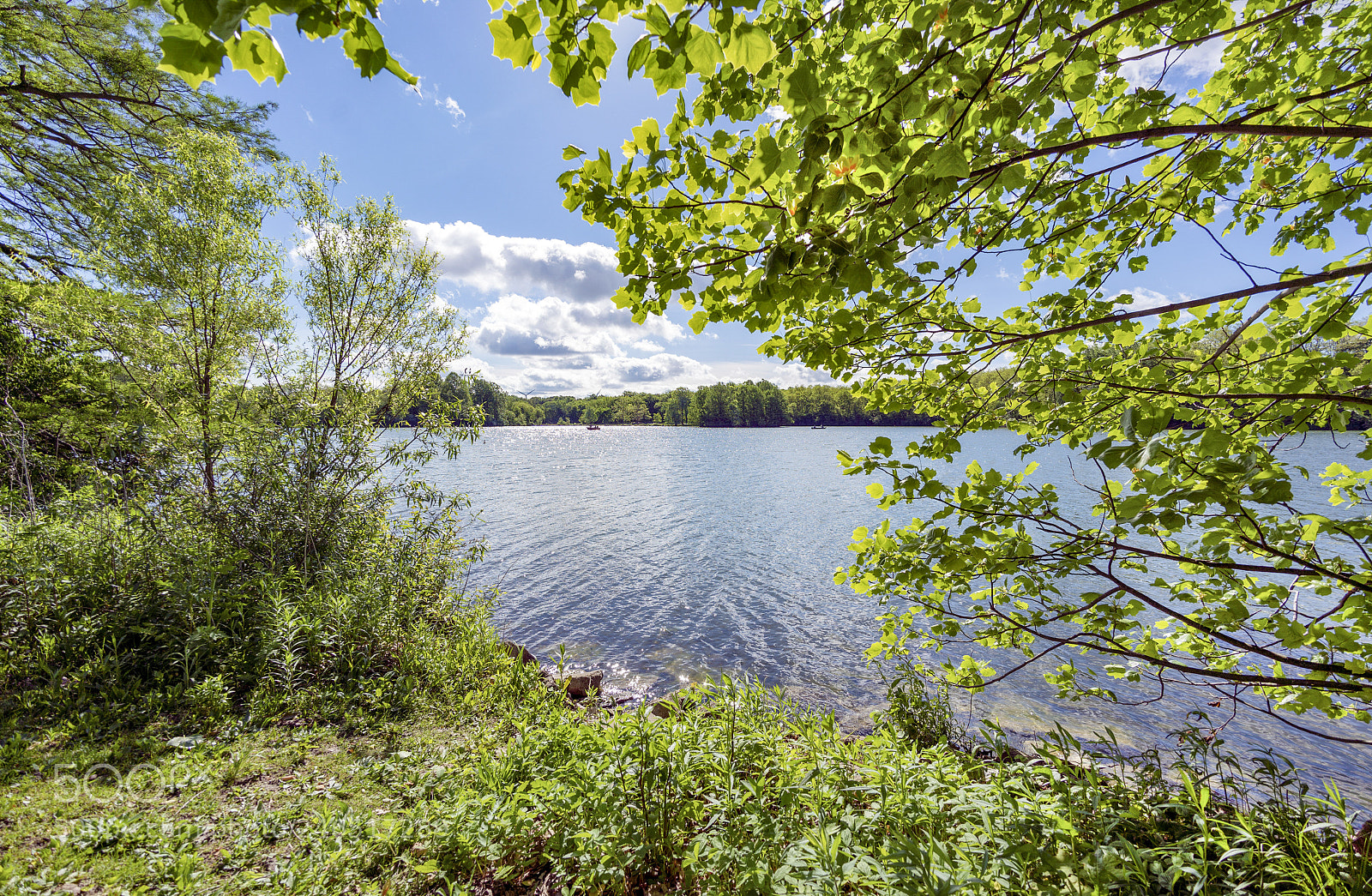 Sony a7R II sample photo. Morning at dawson lake photography
