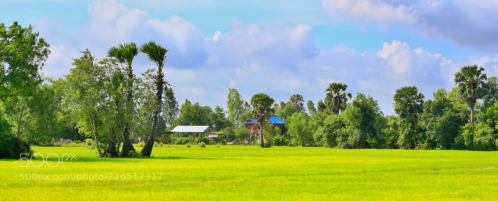 Canon EOS 650D (EOS Rebel T4i / EOS Kiss X6i) sample photo. Province photography