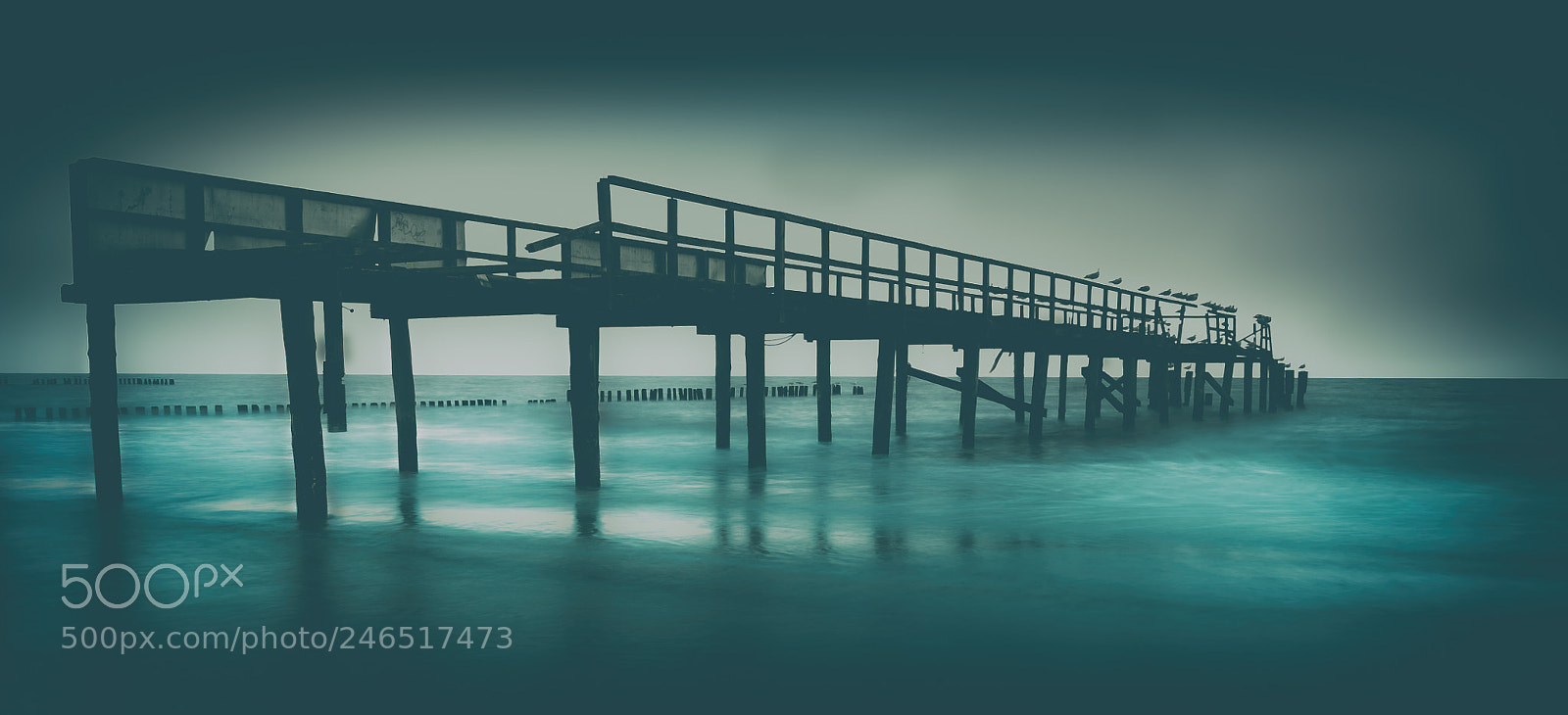 Nikon D300S sample photo. Old pier photography