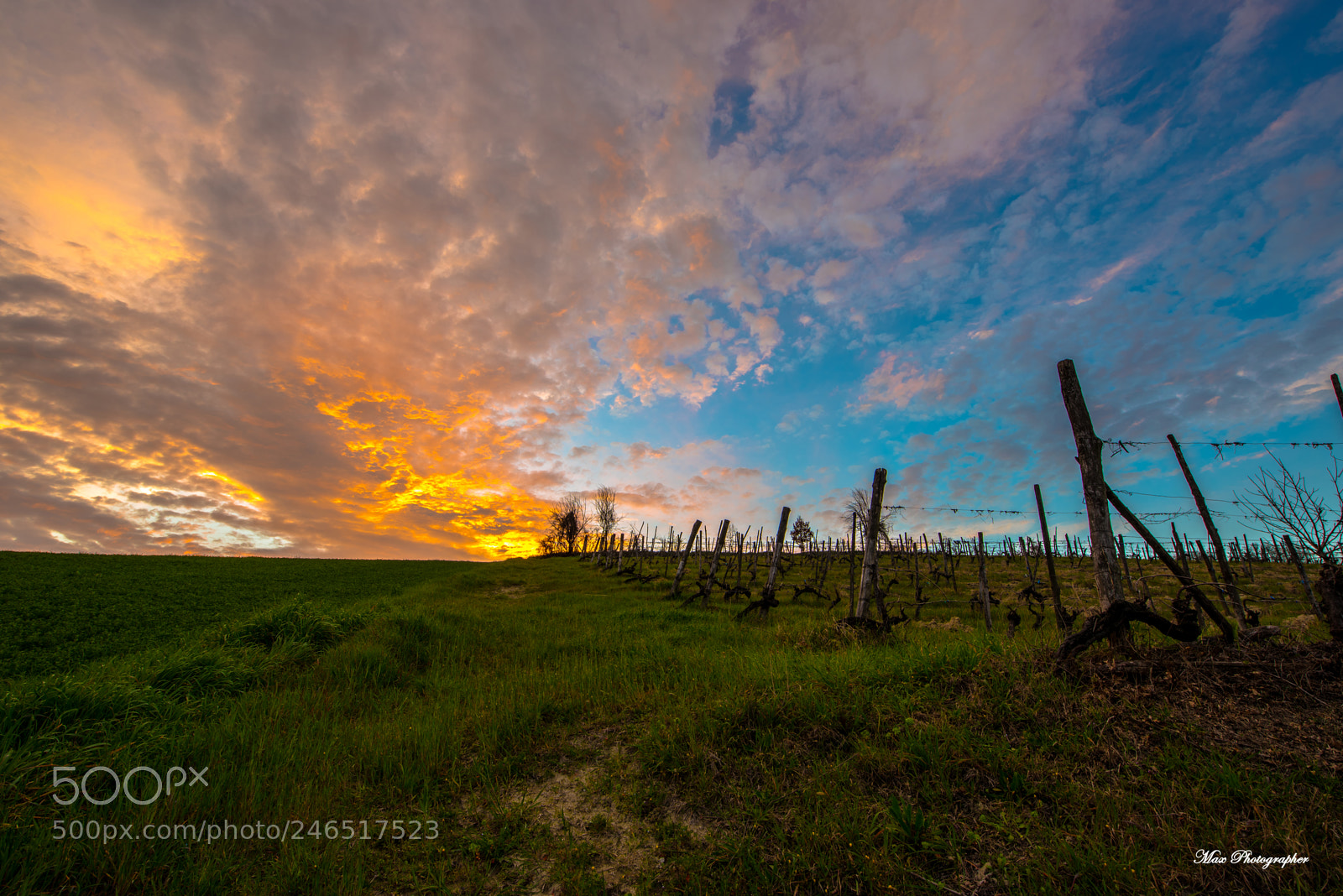 Nikon D810 sample photo. Tramonto infuocato sulle colline photography