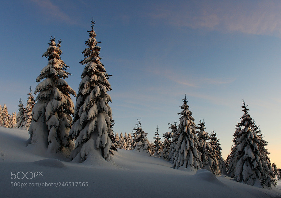 Canon EF-S 18-55mm F3.5-5.6 II sample photo. Das letzte licht photography