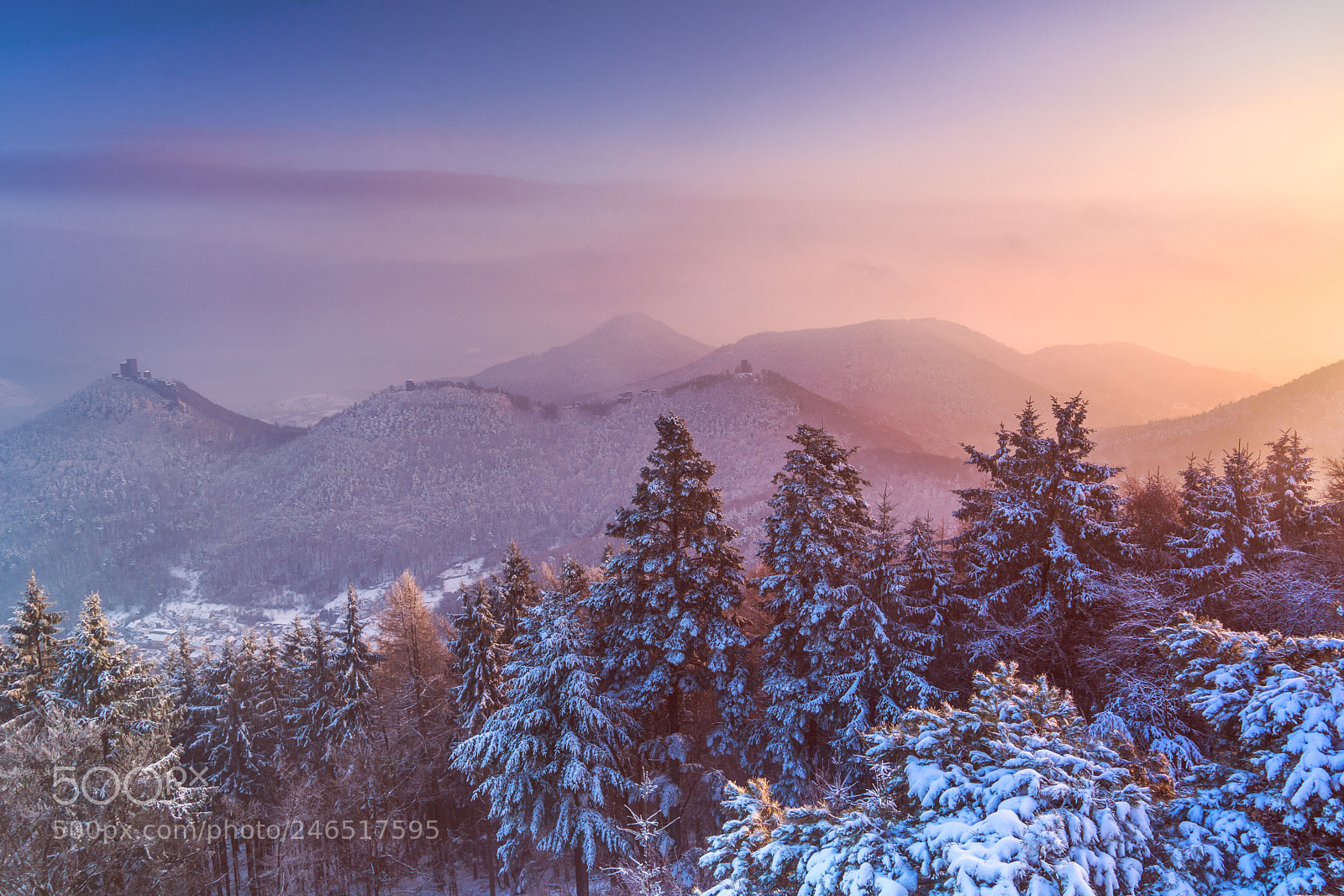 Sony a7 II sample photo. Palatinate forest at dawn photography