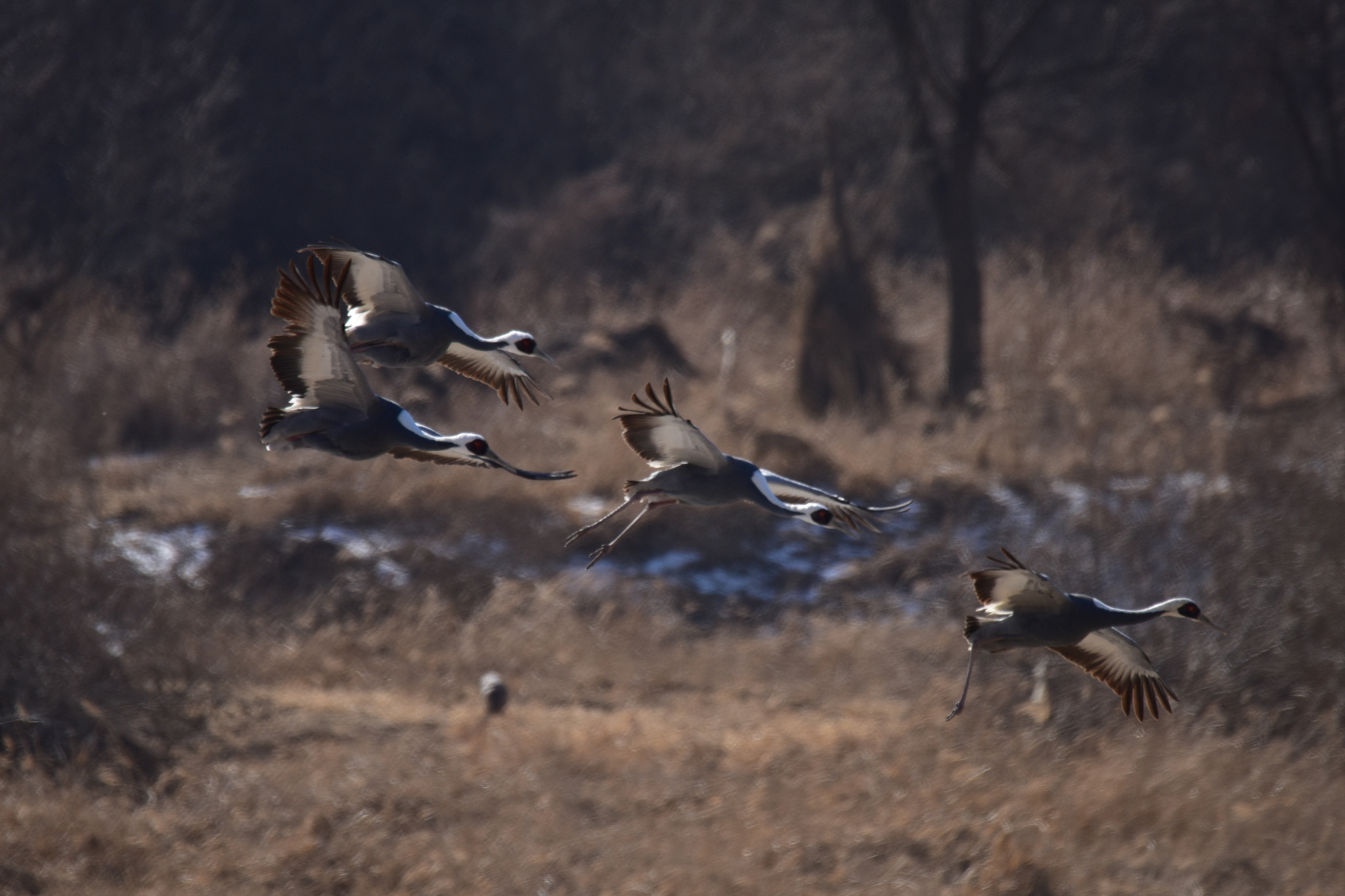 Nikon D810 sample photo