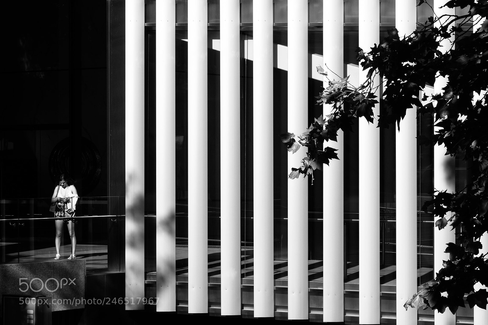 Olympus PEN-F sample photo. Perth city blades photography