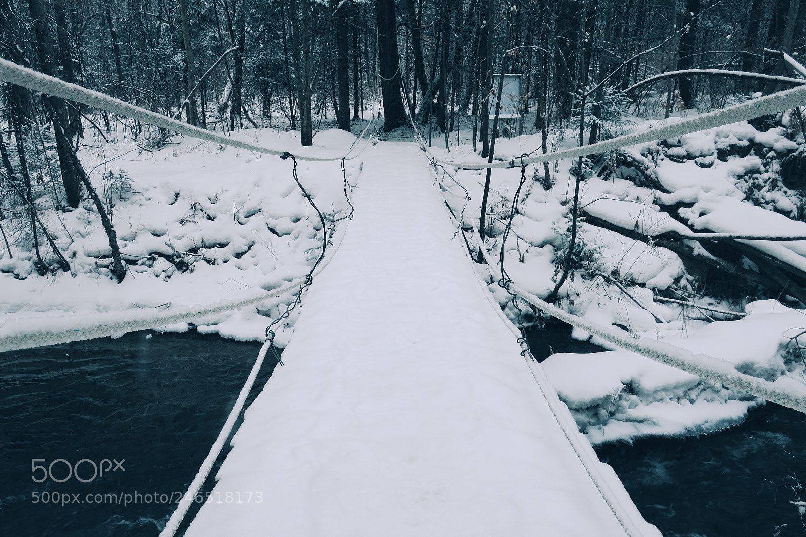 Canon PowerShot G9 X sample photo. Rope bridge of snow photography