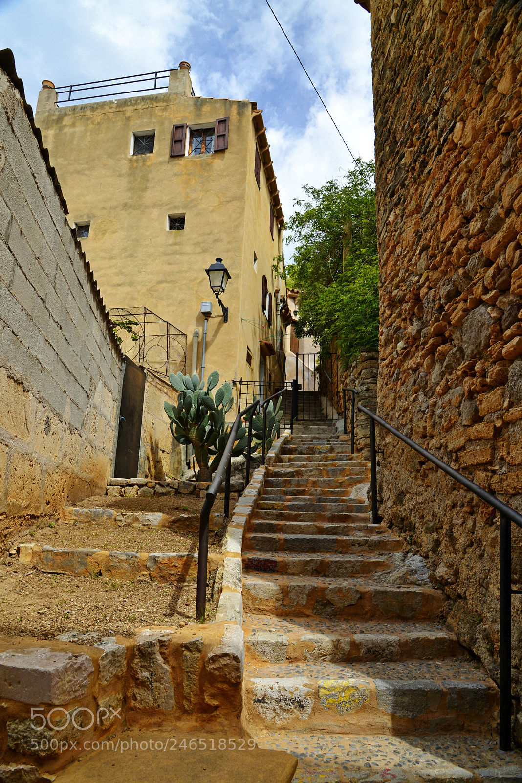 Nikon D610 sample photo. Stairway to castle photography