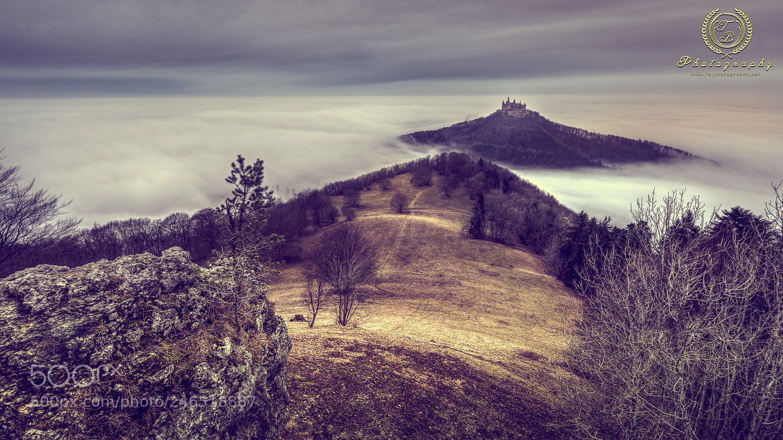 Nikon D800 sample photo. Burg hohenzollern im nebel photography