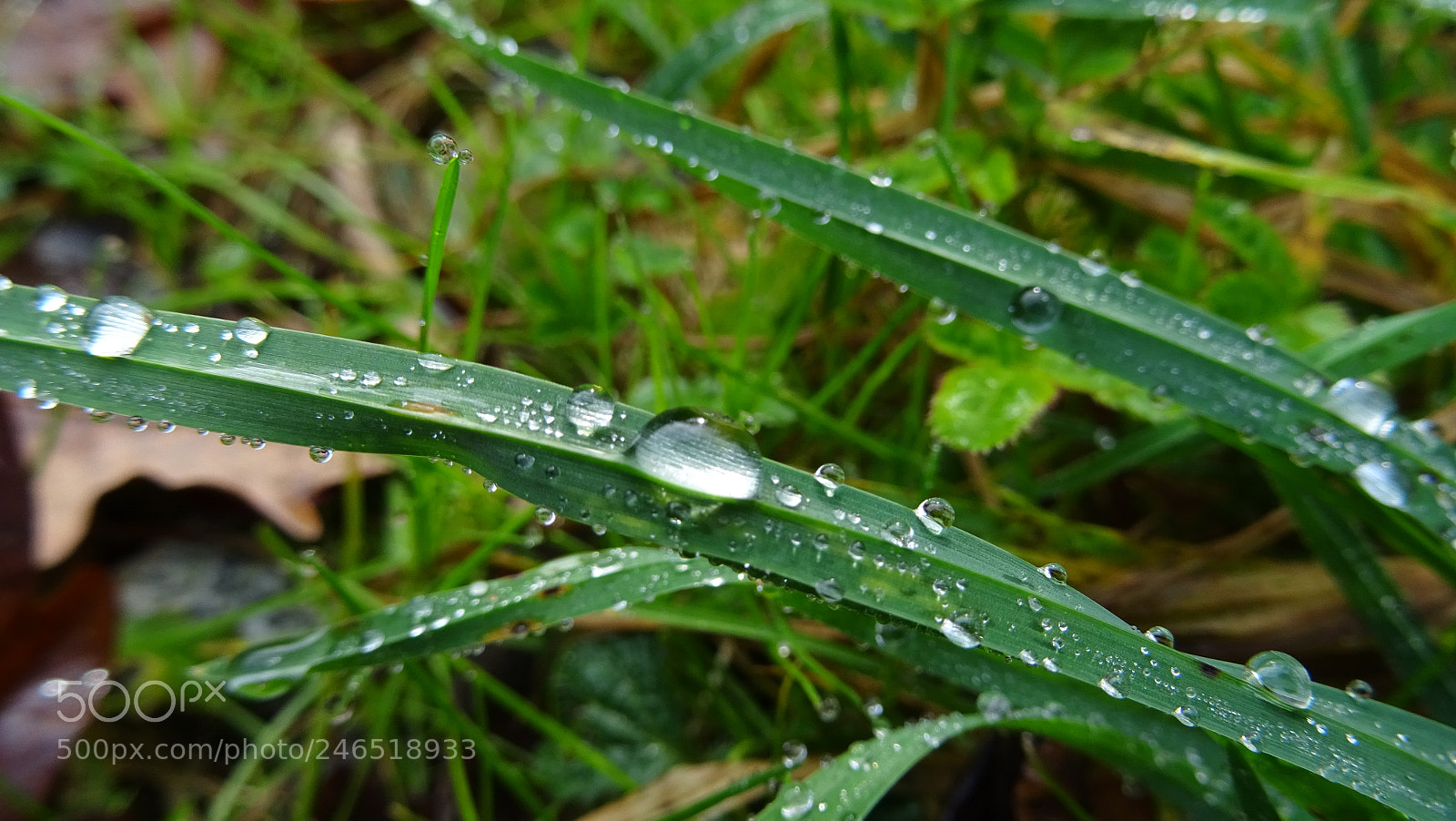 Sony DSC-HX60V sample photo. Dsc photography
