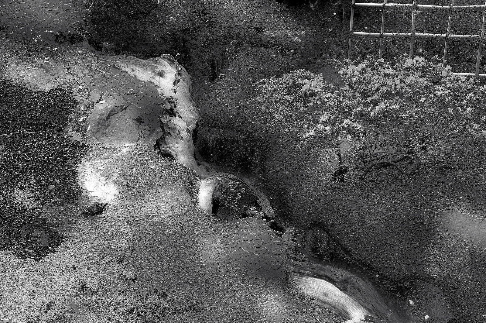 Nikon D300 sample photo. Whisper of the creek photography