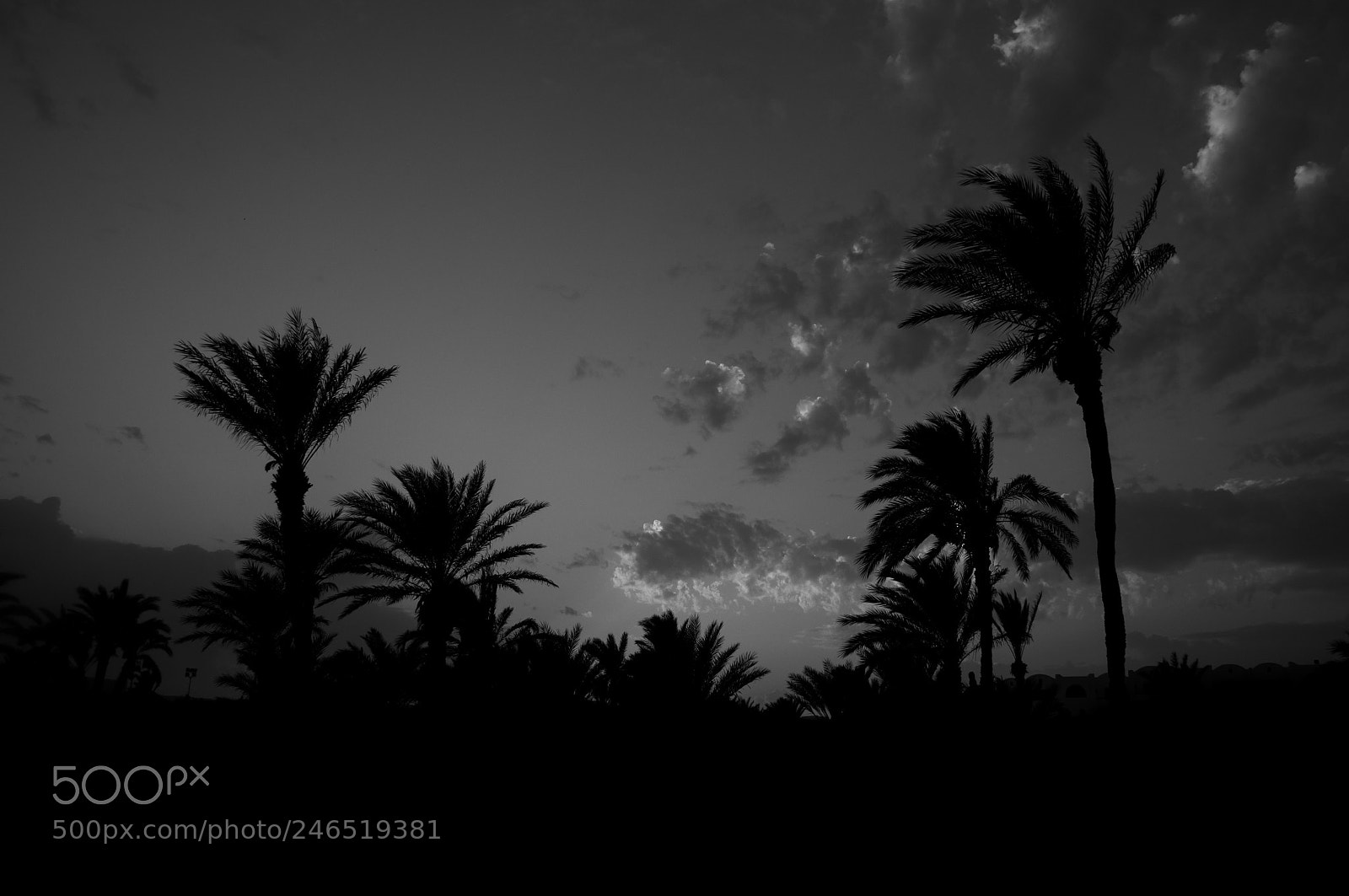 Nikon D5000 sample photo. ?? photography