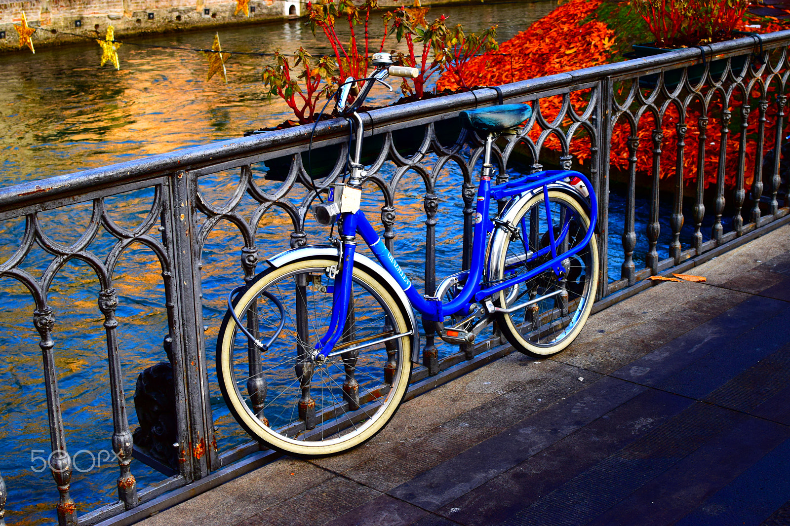 Nikon D3300 + Nikon AF-S DX Nikkor 35mm F1.8G sample photo. "mercato del pesce" photography