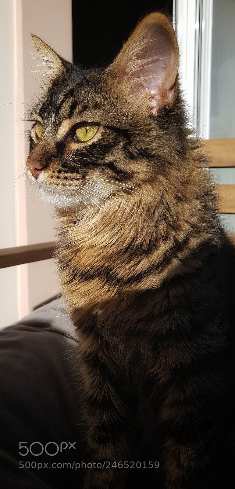 Samsung Galaxy S7 Edge sample photo. Untitled photography