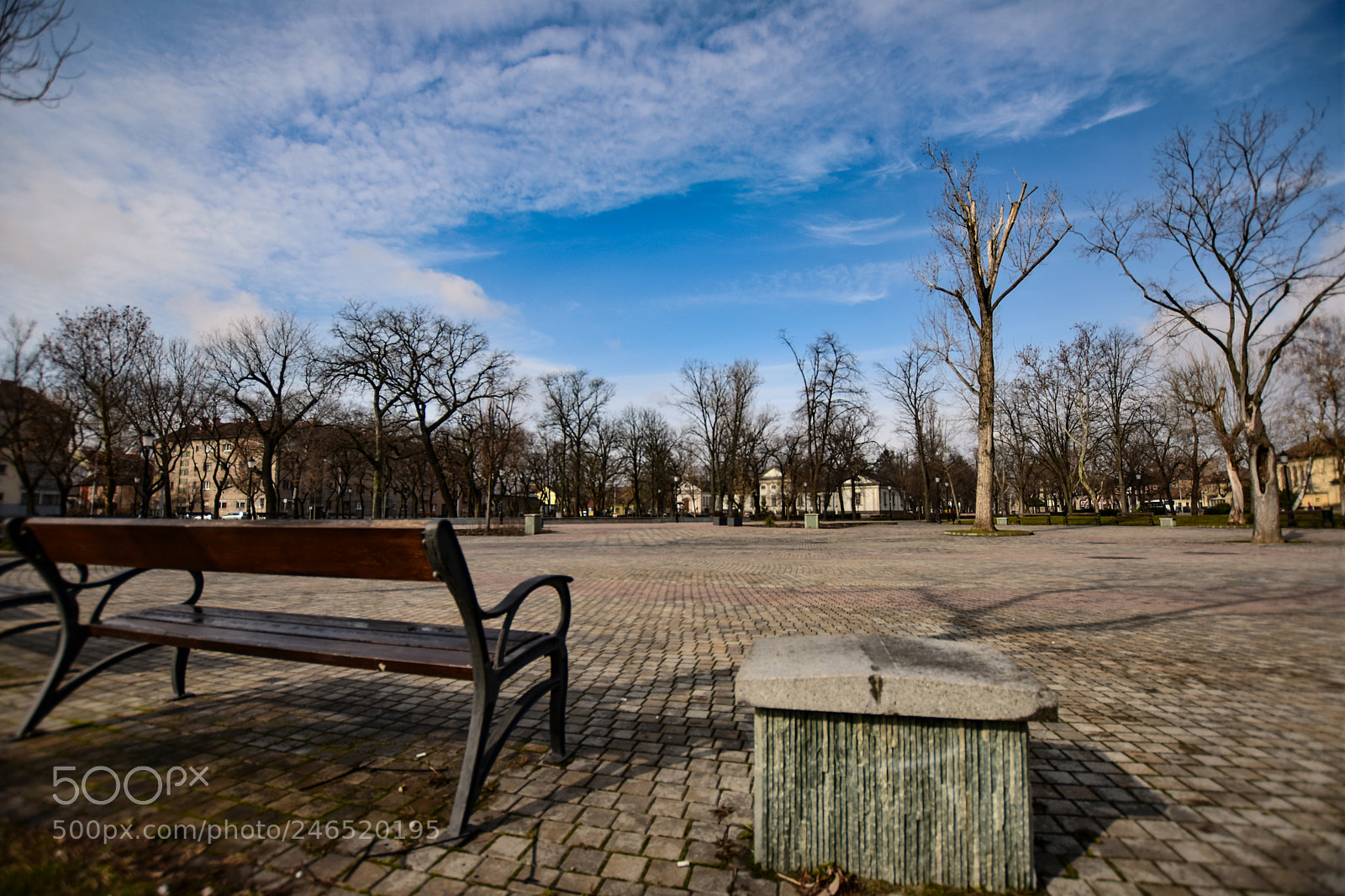 Nikon D7200 sample photo. Untitled photography