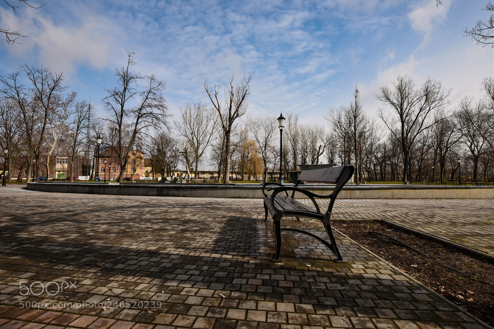 Nikon D7200 sample photo. Untitled photography