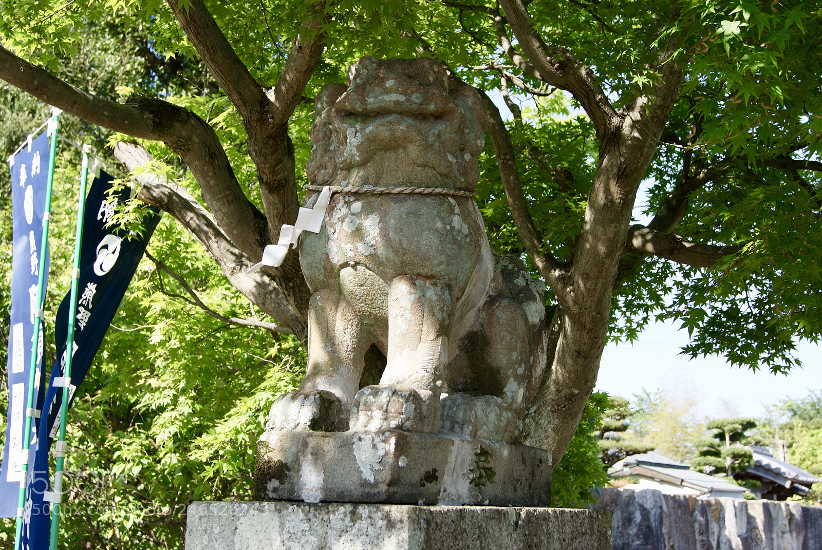 Sony Alpha DSLR-A330 sample photo. 阿須賀神社の狛犬 photography