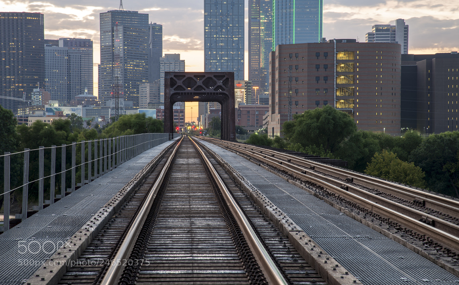 Nikon D800 sample photo. Morning train photography