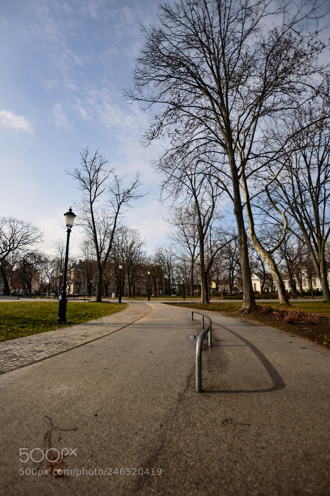 Nikon D7200 sample photo. Untitled photography